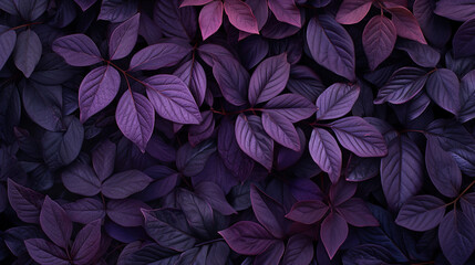 Purple leaves background. Top view.