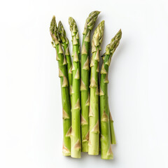 bunch of asparagus isolated on white background