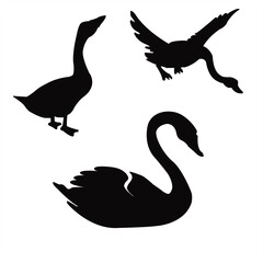 Graceful Silhouettes of Majestic Goose Birds in Various Poses, Vector Avian Beauty for Your Projects