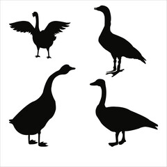Graceful Silhouettes of Majestic Goose Birds in Various Poses, Vector Avian Beauty for Your Projects