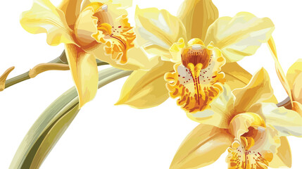 Close-up of yellow Cymbidium hybrid Orchid flowers  - obrazy, fototapety, plakaty