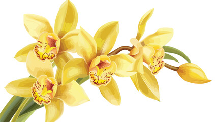 Close-up of yellow Cymbidium hybrid Orchid flowers  - obrazy, fototapety, plakaty