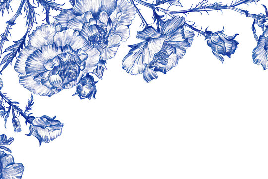 PNG Vintage drawing carnation border sketch illustrated graphics