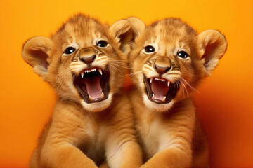 Imagine the cuteness overload as two joyous lion cubs, suited up, frolic against a vibrant orange background. - obrazy, fototapety, plakaty