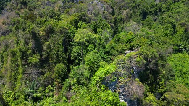 Untouched natureInaccessible Terra nature jungle mountains. Majestic aerial top view flight 
fly reverse drone
4k