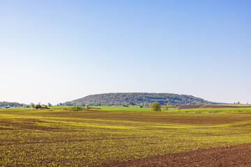 Green fields with a hill in the spring landscape
