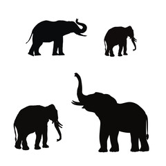 Set of elephant silhouettes in different poses of african elephant or jungle elephant and asian elephant with big ears - vector illustration