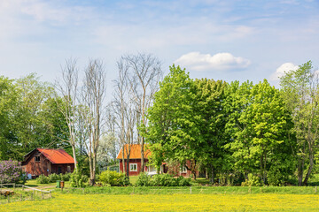 Red cottage in the countryside on a sunny summer day - obrazy, fototapety, plakaty