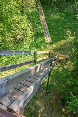 Wooden stairs on a tower in the forest by a hiking trail