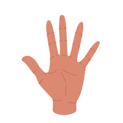 Hand showing number five on white background.  Fingers number gesture isolated. High five