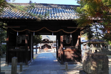 Fototapeta na wymiar 神社の瓦屋根の神門