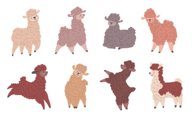 Naklejka premium Set of colorful cute llamas in different poses, vector isolated cute funny curly fur Lama animal, cheerful sheep