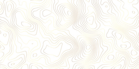 Fototapeta na wymiar Golden strokes topology map contour topography texture vector