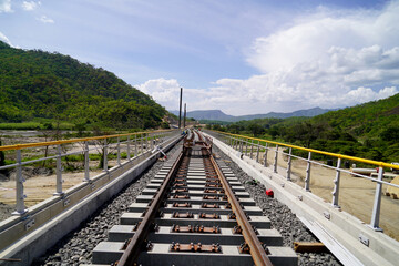 Concrete Railway Bridge with Catenary Poles for Electric Trains