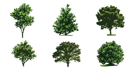 a set of silhouettes of trees. Branches, leaves, nature, eco-friendly environment