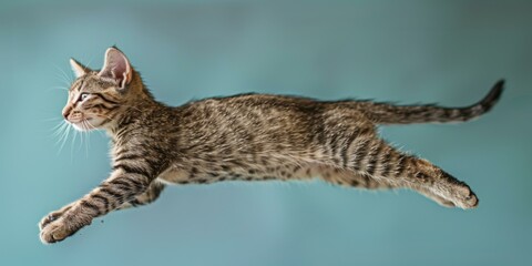 A small cat flying through the air with a blue background. Generative AI.