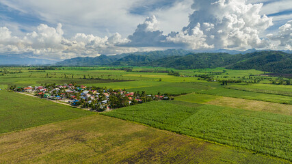Farmland with sugar cane and rice fields. Negros, Philippines