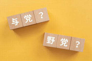 与党？野党？の文字が入ったブロック