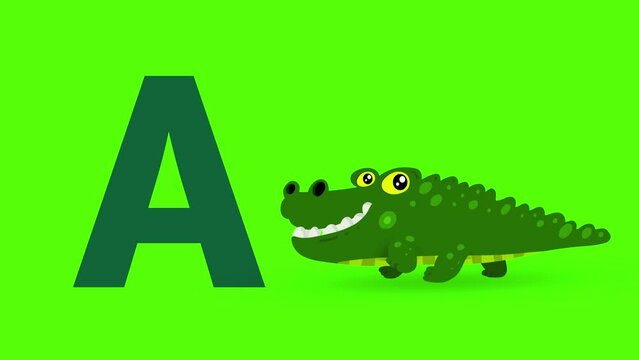 
A letter big color like alligator cartoon animation. Animal loop. Educational serie with bold style character for children. Good for education movies, presentation, learning alphabet, etc...
