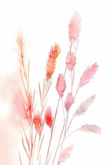 The delicate and serene watercolor paintings capture the ethereal beauty of the tall and narrow pampas grass that sways gracefully