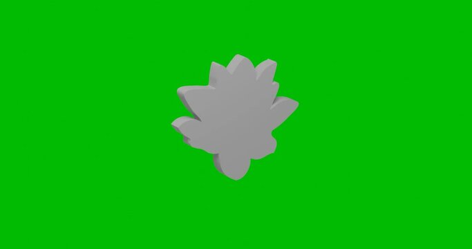 Animation of rotation of a white lotus flower with shadow. Simple and complex rotation. Seamless looped 4k animation on green chroma key background