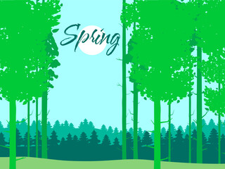 Spring forest landscape, green foliage, April, May month