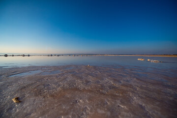 pink lagoon at Torrevieja