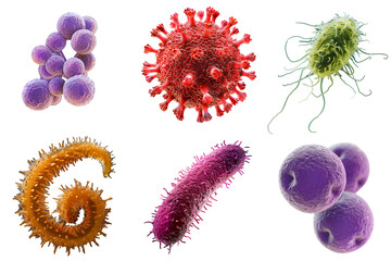 set bacteries with chlamydia, streptococcus, staphylococcus, spirochetes, proteus, coronavirus is isolated on a transparent background. Microbiology, the study of microorganisms, infections, bacteria