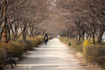 Türaufkleber View of the footpath with the walking people in the park © 안구정화