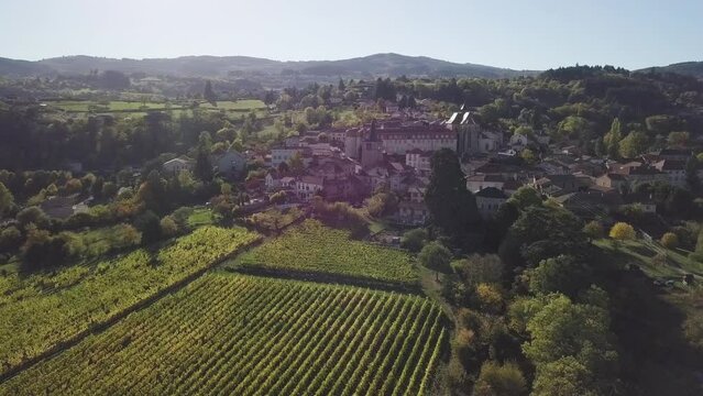 Aerial footage of the vineyards in Ambierle commune in the Loire department in central France