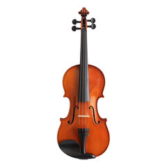 Fototapeta na wymiar Isolated Classic Professional Orchestra Violin