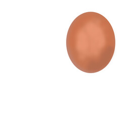 Egg illustration 