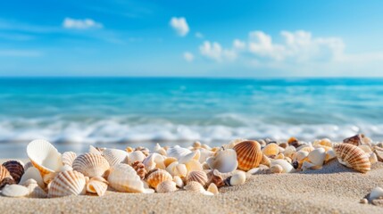 Fototapeta na wymiar Sea and seashells. A lot of empty sea shells on the beach, close-up view. Sea coast and sea flora.