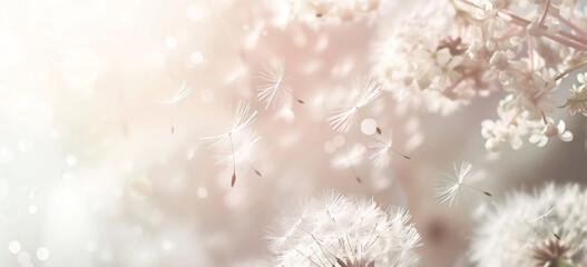 Dandelion seeds fly away in the wind on a white background
