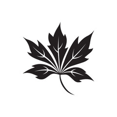 Leaf icon. Black Leaf icon on white background. Vector illustration