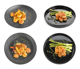 Set of delicious fried scallops isolated on white, top and side views