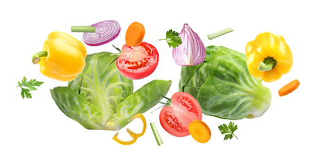 Fresh vegetables and herbs in air on white background