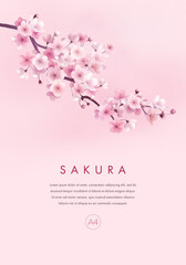 Sakura poster, card, cover, flyer or web banner design template. Vector illustration of realistic blossoming sakura flowers on pink background. Vector illustration