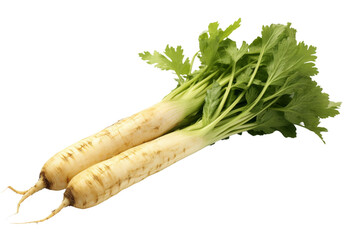Towering Celery Pair. On White or PNG Transparent Background.