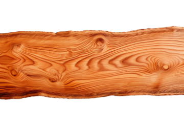 The Split Symphony: A Halved Piece of Nature. On White or PNG Transparent Background.