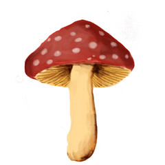 mushroom