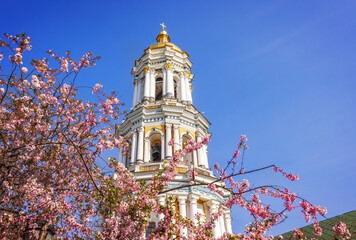 Pink sakura blossom in the front of the bell tower of Kyiv Pechersk Lavra