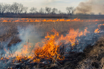 Grassland fire spreading with intense flames and smoke.