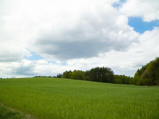 Fields and meadows of Wiezyca. Kashubia Region. Poland