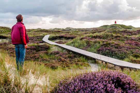 Germany, Schleswig-Holstein, Amrum, Man looking at boardwalk stretching through heather moor
