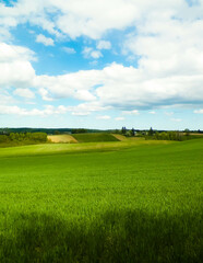 Fields and meadows of Wiezyca. Kashubia Region. Poland - obrazy, fototapety, plakaty