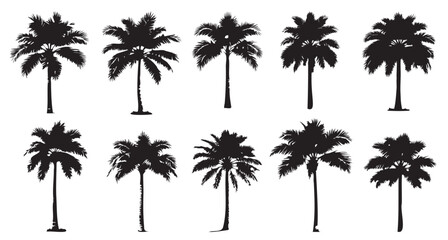 a set of silhouettes of palm trees. tropical trees isolated vector on transparent background. for design, posters, advertising, patterns