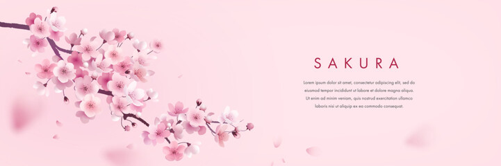Sakura wallpaper, billboard or web banner design template. Vector illustration of realistic blossoming sakura flowers on pink watercolor background. Vector illustration