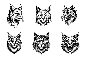 bobcat silhouette vector illustration art isolated on transparent background - Generative AI
