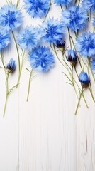 Beautiful blue cornflower flowers on a white wooden background, in a top view with copy space for text